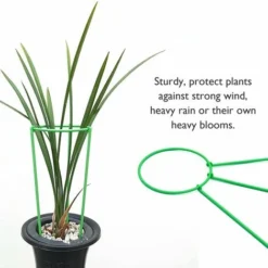 Plante Grimpante Support Grande Plante Support Cage Jardin Plante Fleur Légume Anneau,,S & 1PC 9 Plante Grimpante Support Grande Plante Support Cage Jardin Plante Fleur Légume Anneau,,S & 1PC -Promos Jardin Noble Magasin 90083251 3