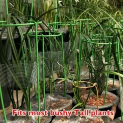 Plante Grimpante Support Grande Plante Support Cage Jardin Plante Fleur Légume Anneau,,S & 1PC 11 Plante Grimpante Support Grande Plante Support Cage Jardin Plante Fleur Légume Anneau,,S & 1PC -Promos Jardin Noble Magasin 90083251 5