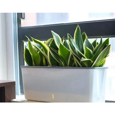 Super Grand Planteur De Fleurs En Plastique Forme Rectangulaire Pots Absorbant L'eau Style Nordique Intérieur Pot De Fleur à Arrosage Automatique 01en Tant Que Pic 5 Super Grand Planteur De Fleurs En Plastique Forme Rectangulaire Pots Absorbant L'eau Style Nordique Intérieur Pot De Fleur à Arrosage Automatique 01en Tant Que Pic – Image 3