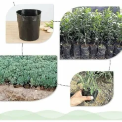 500pcs Pot De Pépinière En Plastique Contenant De Propagation De Plantes (8cmx8cm) 10 500pcs Pot De Pépinière En Plastique Contenant De Propagation De Plantes (8cmx8cm) -Promos Jardin Noble Magasin 90449845 4