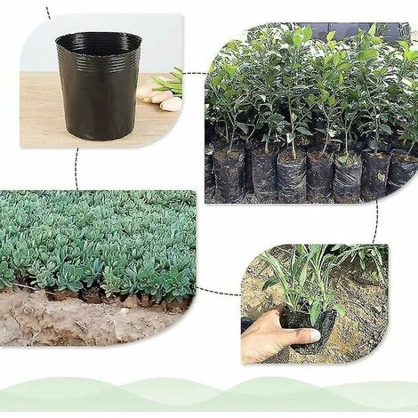 500pcs Pot De Pépinière En Plastique Contenant De Propagation De Plantes (8cmx8cm) 6 500pcs Pot De Pépinière En Plastique Contenant De Propagation De Plantes (8cmx8cm) – Image 4