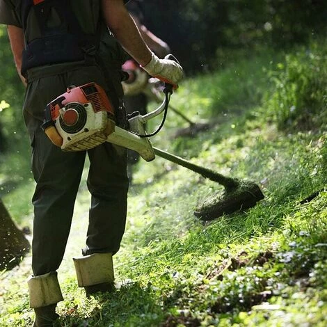 Lot De 2 Tête De Débroussailleuse Universelle Nylon Bobine De Rechange De Tondeuse Débroussailleuse Tête De Coupe M10 X 1,25 Pour Débroussailleuse Thermique à Essence 7 Lot De 2 Tête De Débroussailleuse Universelle Nylon Bobine De Rechange De Tondeuse Débroussailleuse Tête De Coupe M10 X 1,25 Pour Débroussailleuse Thermique à Essence – Image 5