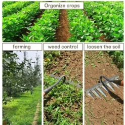 Râteau De Jardin Râteau De Jardin En Métal Râteau En Acier Au Carbone Trempé Pour Désherber Biner Creuser Et Ameublir Le Sol (7 Dents) -Promos Jardin Noble Magasin 91119983 3