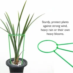 Support De Plante Grimpante Stakes Cage A Anneau-g De Support De Plante Haute Pour Legume-fleur De Plante De Jardin, Modele: S & 1PC OURGCA7EU -Promos Jardin Noble Magasin 91545876 3