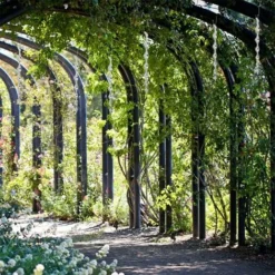 12 Pièces Répulsif Oiseaux,Répulsifs Oiseaux Reflechissants,30 Cm Barre Oiseaux 360 Degrés Réfléchissant En Spirale Lumineux,Convient Pour Balcons, Arbres Fruitiers, Potagers(Argenté) -Promos Jardin Noble Magasin 91610283 5