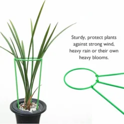 Support De Plante Grimpante Stakes Cage A Anneau-g De Support De Plante Haute Pour Legume-fleur De Plante De Jardin, Modele: S & 1PC 9 Support De Plante Grimpante Stakes Cage A Anneau-g De Support De Plante Haute Pour Legume-fleur De Plante De Jardin, Modele: S & 1PC -Promos Jardin Noble Magasin 91745735 3