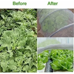 Filet De Jardin,10 M X 2.5m Filet Anti Insecte, Filet Anti Insectes Potager, Maille Fine Anti-Insecte En Maille Pour La Protection Des Plantes, Fleurs, Légumes Et Fruits -Promos Jardin Noble Magasin 92332780 4