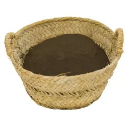 CULTIVERS Farine De Sang De La Force De Protesan De 5 Kg - Engrais Organique à Haute Teneur En Azote, Obtenu à Partir De Farine De Sang - Prix Direct Usine -Promos Jardin Noble Magasin 93581673 3