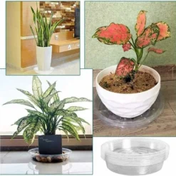 10 Pcs Soucoupes à Plantes Transparent Pour Pots, Soucoupe Plastique De Fleurs Pour Plante Intérieur Et Extérieur - Soucoupes Rondes 8 In -Promos Jardin Noble Magasin 94234462 4