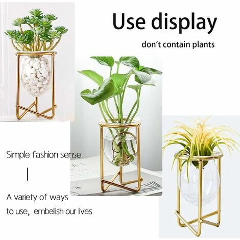 Porte-plantes Aériennes Décor En Métal Doré Pour La Maison Ensemble De 3 Mini-jardinières Géométriques Terrariums Vase En Verre Tillandsia Présentoirs Pour Femmes Vases Hydroponiques Pour Bureau (plan 5 Porte-plantes Aériennes Décor En Métal Doré Pour La Maison Ensemble De 3 Mini-jardinières Géométriques Terrariums Vase En Verre Tillandsia Présentoirs Pour Femmes Vases Hydroponiques Pour Bureau (plan – Image 3