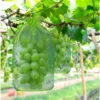 100 Pièces Sac De Protection De Grappes De Raisin, Taille: 30 X 20 Cm, Couleur: Vert, Avec Cordon, Donne Protection Totale Contre Les Guêpes, Les Oiseaux, Matériau: Organza -Promos Jardin Noble Magasin 95181764 1