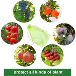 100 Pièces Sac De Protection De Grappes De Raisin, Taille: 30 X 20 Cm, Couleur: Vert, Avec Cordon, Donne Protection Totale Contre Les Guêpes, Les Oiseaux, Matériau: Organza -Promos Jardin Noble Magasin 95181764 3