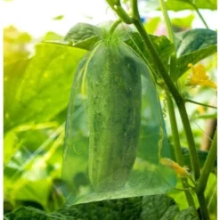 100 Pièces Sac De Protection De Grappes De Raisin, Taille: 30 X 20 Cm, Couleur: Vert, Avec Cordon, Donne Protection Totale Contre Les Guêpes, Les Oiseaux, Matériau: Organza -Promos Jardin Noble Magasin 95181764 4