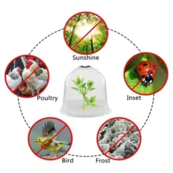 RAINBOW Lot De 6 Cloches Réutilisables En Plastique En Forme De Dme De Protection Pour Le Sol De Jardin Froid/chaud Et Les Plantes De Culture, Transparent -Promos Jardin Noble Magasin 95194172 3