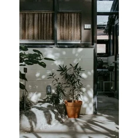 KOTARBAU Lot De 4 Pots De Fleurs En Terre Cuite Ø 15 Cm Avec Bord Pour L'intérieur Et Le Jardin 7 KOTARBAU Lot De 4 Pots De Fleurs En Terre Cuite Ø 15 Cm Avec Bord Pour L'intérieur Et Le Jardin – Image 5