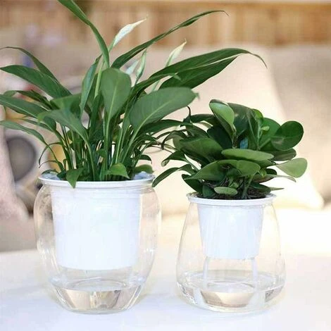 Pot à Orchidée Transparent, Pot à Fleurs élégant En Plastique, Plante Verte Charnue Par Pot De Fleur Paresseux En Plastique Absorbant Automatique Pot De Fleur - MODOU 3 Pot à Orchidée Transparent, Pot à Fleurs élégant En Plastique, Plante Verte Charnue Par Pot De Fleur Paresseux En Plastique Absorbant Automatique Pot De Fleur - MODOU