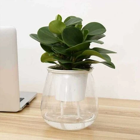 Pot à Orchidée Transparent, Pot à Fleurs élégant En Plastique, Plante Verte Charnue Par Pot De Fleur Paresseux En Plastique Absorbant Automatique Pot De Fleur - MODOU 7 Pot à Orchidée Transparent, Pot à Fleurs élégant En Plastique, Plante Verte Charnue Par Pot De Fleur Paresseux En Plastique Absorbant Automatique Pot De Fleur - MODOU – Image 5