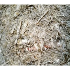 Toile De Paillage En Chanvre - 450g/m² 0.56 X 25 M -Promos Jardin Noble Magasin 95534650 3