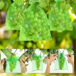 100pcs Bunch Protection Bag 30x20cm / 10x15cm Sac Organza Fruit Raisin Avec Cordon Donne Une Protection Totale - 15cm -Promos Jardin Noble Magasin 95589780 3