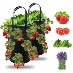 2pcs Sac De Plantation Pour Fraise, Sacs De Culture à Fraises Suspendu Jardin Avec 13 Trous, Sac De Plantation Pour Fraises, Herbes, Tomates - 3 Gallons (2pcs - Noir)