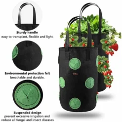 2pcs Sac De Plantation Pour Fraise, Sacs De Culture à Fraises Suspendu Jardin Avec 13 Trous, Sac De Plantation Pour Fraises, Herbes, Tomates - 3 Gallons (2pcs - Noir) -Promos Jardin Noble Magasin 95793638 3