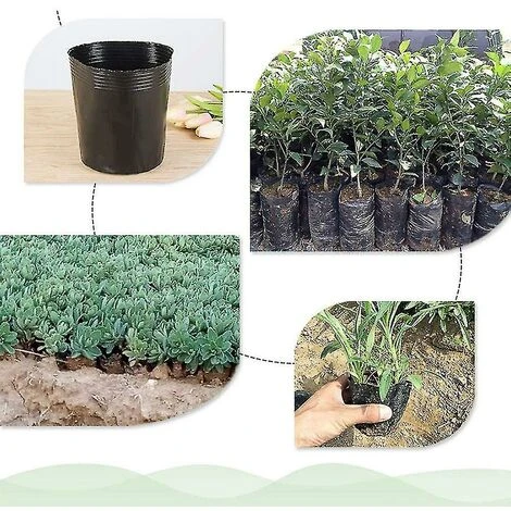500pcs Pot De Pépinière En Plastique Contenant De Propagation De Plantes 8cmx8cm Thsinde 6 500pcs Pot De Pépinière En Plastique Contenant De Propagation De Plantes 8cmx8cm Thsinde – Image 4