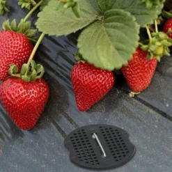 RHAFAYRE 40Pcs Piquets De Jardin, Sardine Bache Avec 40 Rondelles, Piquets De Fixation Pour Bàche Toile Paillage, Tissu De Mauvaises Herbes, Feuilles De Sol Tente 154cm -Promos Jardin Noble Magasin 95848632 2