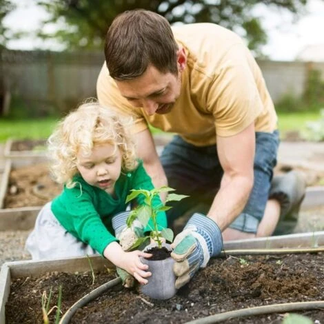 600 Sacs De Semis Biodégradables 6 Tailles De Sacs De Plantation Non Tissés Pour Les Pommes De Terre, Les Tomates Et Les Plantes De Jardin 6 600 Sacs De Semis Biodégradables 6 Tailles De Sacs De Plantation Non Tissés Pour Les Pommes De Terre, Les Tomates Et Les Plantes De Jardin – Image 4