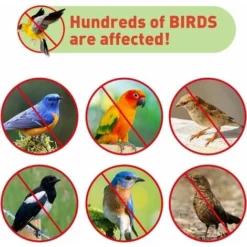 Bande Repulsif 50M Anti Pigeon Effaroucheur D'oiseaux Double Face Anti Oiseaux Bande Anti-Oiseaux Holographique Brillant Pour Effrayer Les Oiseaux Effaroucheur D' Oiseaux -Promos Jardin Noble Magasin 96502109 4