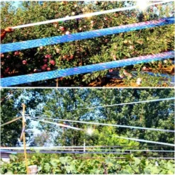 Bande Repulsif 50M Anti Pigeon Effaroucheur D'oiseaux Double Face Anti Oiseaux Bande Anti-Oiseaux Holographique Brillant Pour Effrayer Les Oiseaux Effaroucheur D' Oiseaux -Promos Jardin Noble Magasin 96502109 5