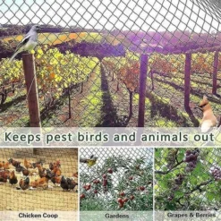Filet Anti-oiseau Lourd Clôture De Jardin Et Cultures Clôture De Protection Maille Anti Oiseau Cerf Chat Chien Poulet 5m 20m -Promos Jardin Noble Magasin 97846692 4
