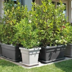 Dessous De Pot Maxi 100 Cm Anthracite -Promos Jardin Noble Magasin 98227798 4