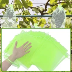 100 Pièces 20x30cm Sac Protection Raisin Sac De Protection Fruits Verts Avec Cordon Sac Organza Sac En Filet Transparent Empêcher Guêpes Drosophile Insectes Oiseaux -Promos Jardin Noble Magasin 98653080 3