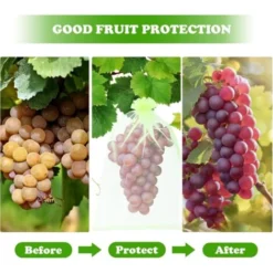 100 Pièces 20x30cm Sac Protection Raisin Sac De Protection Fruits Verts Avec Cordon Sac Organza Sac En Filet Transparent Empêcher Guêpes Drosophile Insectes Oiseaux -Promos Jardin Noble Magasin 98653080 4