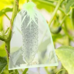 100 Pièces 20x30cm Sac Protection Raisin Sac De Protection Fruits Verts Avec Cordon Sac Organza Sac En Filet Transparent Empêcher Guêpes Drosophile Insectes Oiseaux -Promos Jardin Noble Magasin 98653080 5
