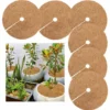 Tapis Coco Plante, Disque De Paillage Coco, Protection D'hiver Pour Plantes En Pot, Protéger Les Racines Des Plantes En Pot Du Gel 30cm 6Pcs -Promos Jardin Noble Magasin 99373665 1
