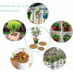 Tapis Coco Plante, Disque De Paillage Coco, Protection D'hiver Pour Plantes En Pot, Protéger Les Racines Des Plantes En Pot Du Gel 30cm 6Pcs -Promos Jardin Noble Magasin 99373665 3