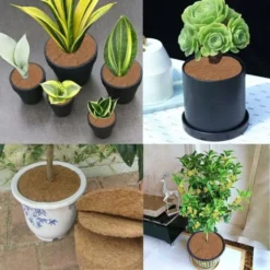 Tapis Coco Plante, Disque De Paillage Coco, Protection D'hiver Pour Plantes En Pot, Protéger Les Racines Des Plantes En Pot Du Gel 30cm 6Pcs -Promos Jardin Noble Magasin 99373665 4