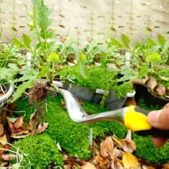 Outil De Désherbage Manuel Pour Terrasse Extraction De Mauvaises Herbes - Pour Jardin, Extérieur, Plantation De Fleurs - Pour Enlever Les Mauvaises Herbes -Promos Jardin Noble Magasin 99409343 4