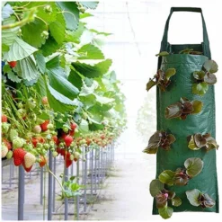 Sac De Plantation De Fraises, Jardinière De Fraises Suspendue, Sacs De Jardinière Suspendus Respirants Multi-Trous, Pour Patios, Petits Jardins, Balcons 8 Trous, -Promos Jardin Noble Magasin 99410314 3