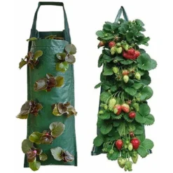 Sac De Plantation De Fraises, Jardinière De Fraises Suspendue, Sacs De Jardinière Suspendus Respirants Multi-Trous, Pour Patios, Petits Jardins, Balcons 8 Trous, -Promos Jardin Noble Magasin 99410314 4